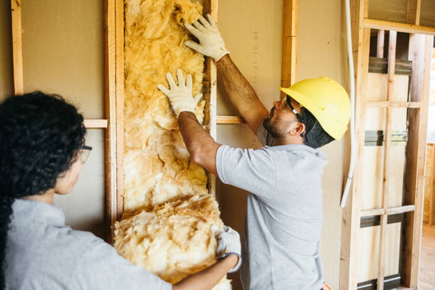 Best Insulation Repair Services  in Circle Pines, MN