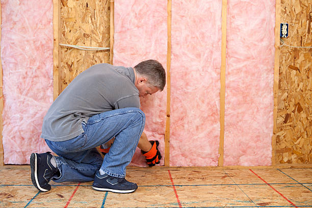 Soundproof Insulation Installation in Circle Pines, MN