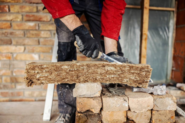 Best Local Insulation Services  in Circle Pines, MN